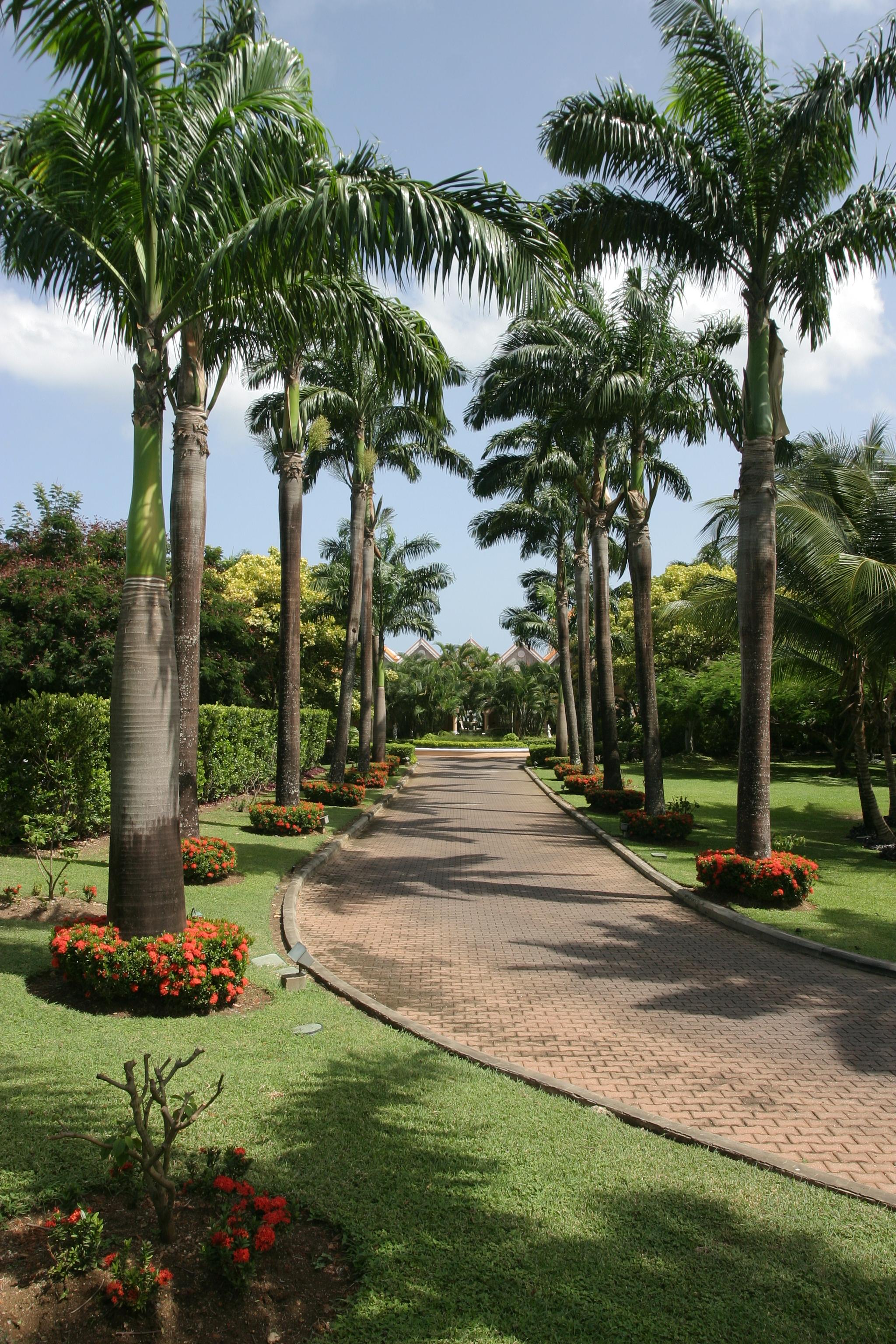 Coco Reef Resort & Spa Crown Point Exterior photo